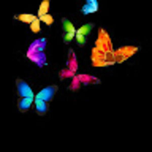 Meet your Posher, Tina